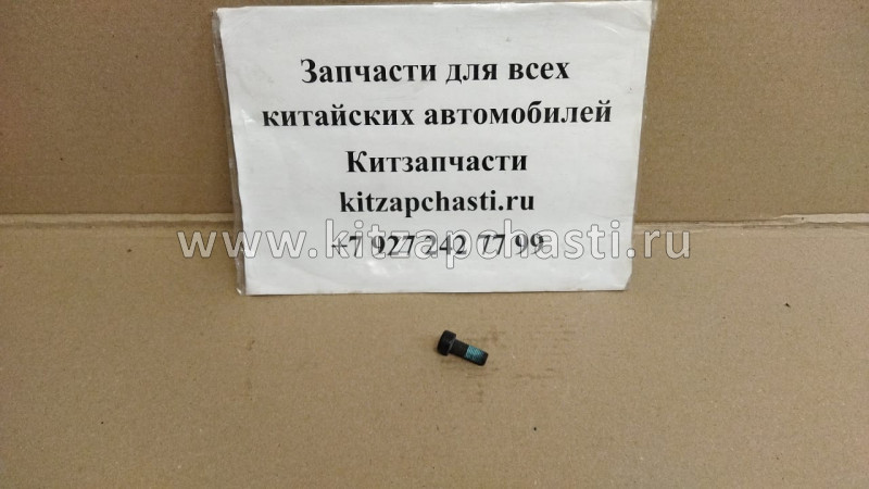 Болт крепления маховика Great Wall Hover H6 Бензин 1.5 1005011-EG01B